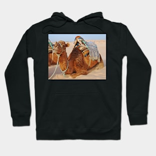 Camel Hoodie